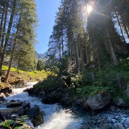 Bargehr Marion Daire *