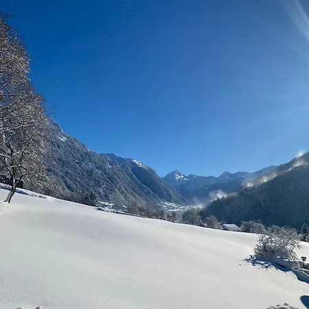 Bargehr Marion Daire Sankt Gallenkirch