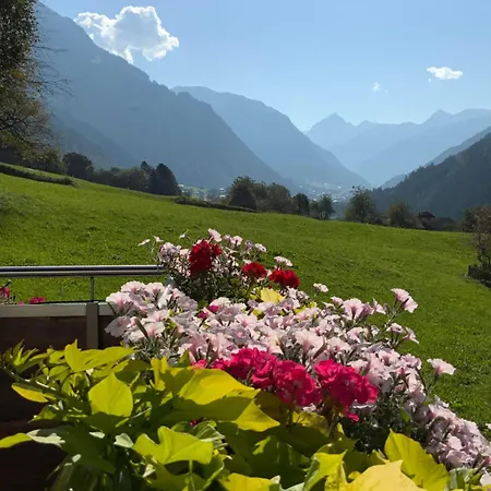 Bargehr Marion